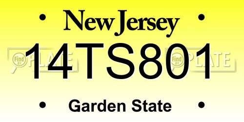 14TS801 New Jersey License Plate