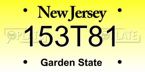 153T81 New Jersey License Plate