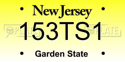 153TS1 New Jersey License Plate