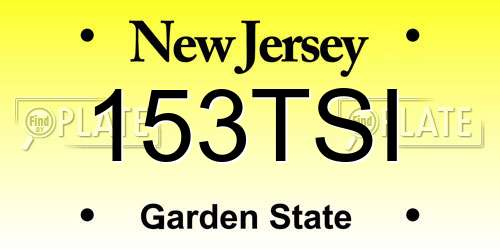153TSI New Jersey License Plate