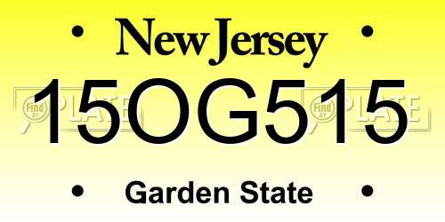 15OG515 New Jersey License Plate