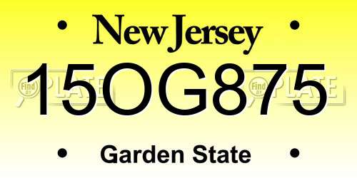 15OG875 New Jersey License Plate