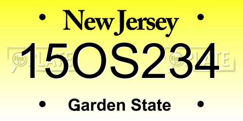 15OS234 New Jersey License Plate