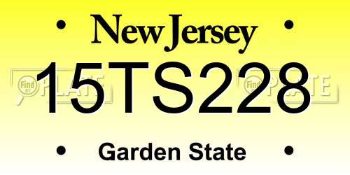 15TS228 New Jersey License Plate