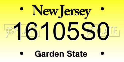 16105S0 New Jersey License Plate