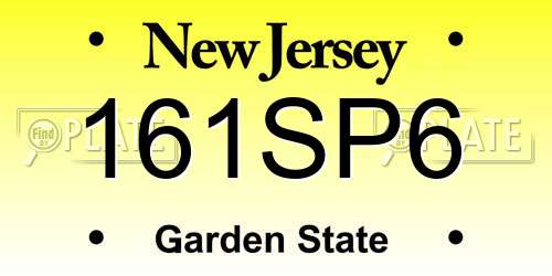 161SP6 New Jersey License Plate