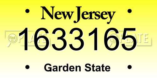 1633165 New Jersey License Plate
