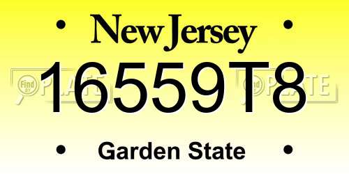 16559T8 New Jersey License Plate