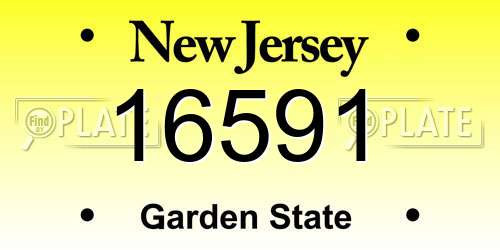 16591 New Jersey License Plate