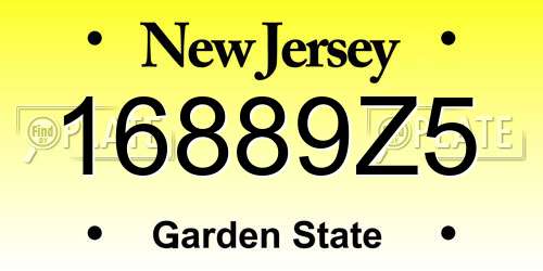 16889Z5 New Jersey License Plate