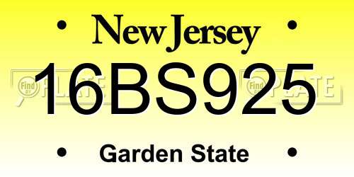 16BS925 New Jersey License Plate