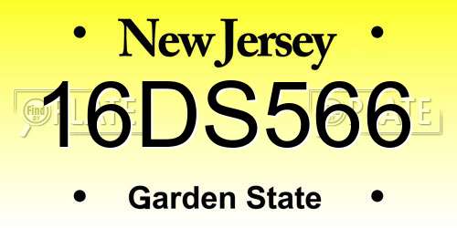 16DS566 New Jersey License Plate