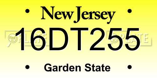16DT255 New Jersey License Plate