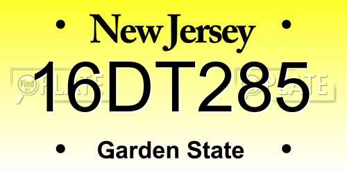 16DT285 New Jersey License Plate