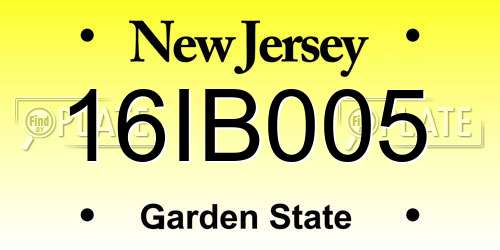 16IB005 New Jersey License Plate