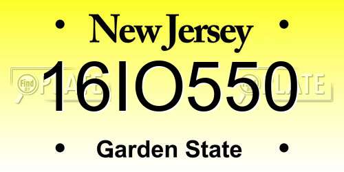 16IO550 New Jersey License Plate