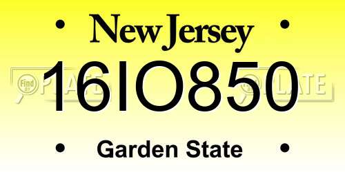 16IO850 New Jersey License Plate