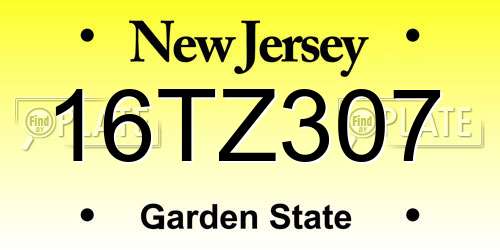 16TZ307 New Jersey License Plate