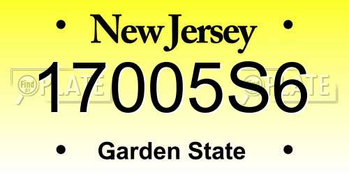 17005S6 New Jersey License Plate