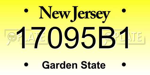17095B1 New Jersey License Plate