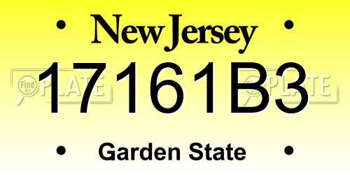 17161B3 New Jersey License Plate