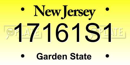 17161S1 New Jersey License Plate