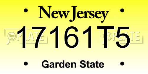 17161T5 New Jersey License Plate