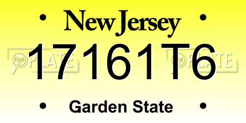 17161T6 New Jersey License Plate