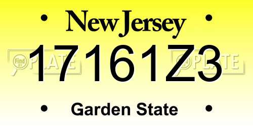 17161Z3 New Jersey License Plate