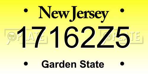 17162Z5 New Jersey License Plate