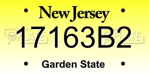 17163B2 New Jersey License Plate