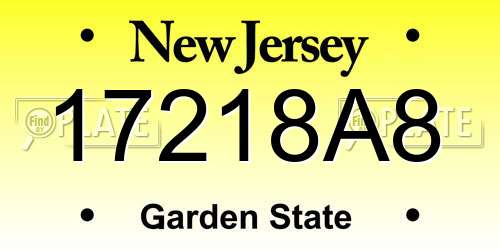 17218A8 New Jersey License Plate