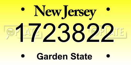 1723822 New Jersey License Plate