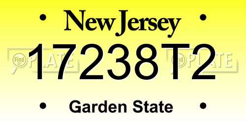 17238T2 New Jersey License Plate