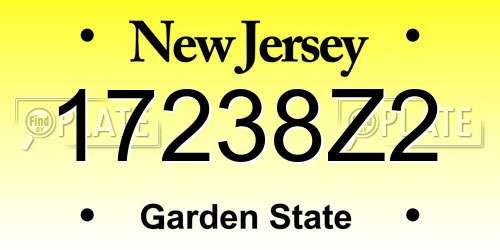 17238Z2 New Jersey License Plate