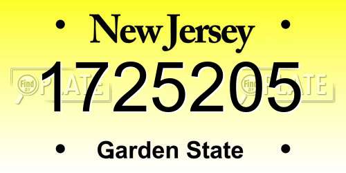 1725205 New Jersey License Plate