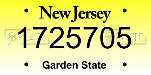 1725705 New Jersey License Plate