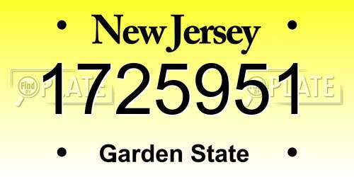 1725951 New Jersey License Plate