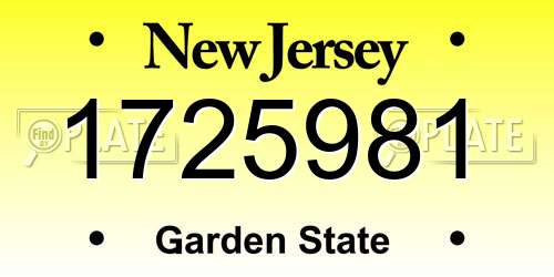 1725981 New Jersey License Plate