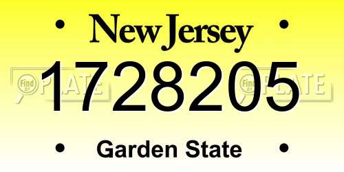 1728205 New Jersey License Plate