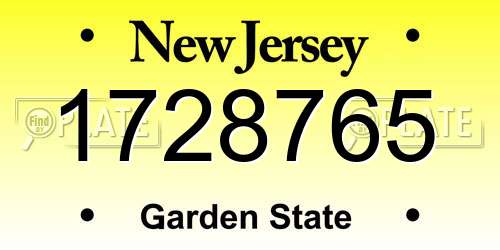 1728765 New Jersey License Plate