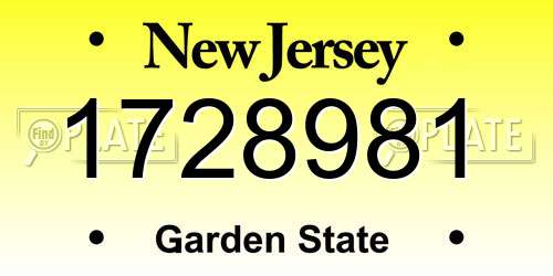 1728981 New Jersey License Plate