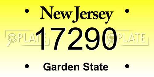 17290 New Jersey License Plate