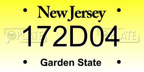 172D04 New Jersey License Plate