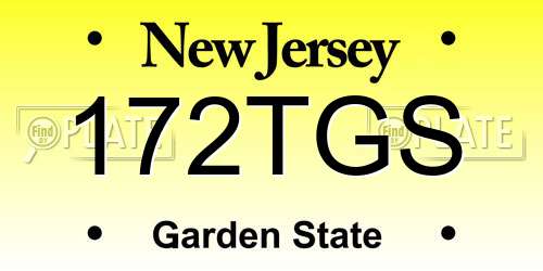 172TGS New Jersey License Plate
