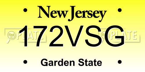 172VSG New Jersey License Plate