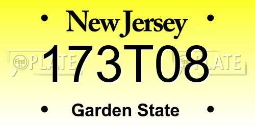 173T08 New Jersey License Plate