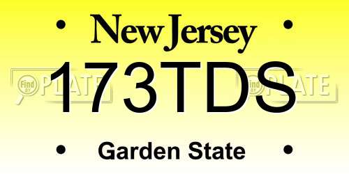 173TDS New Jersey License Plate