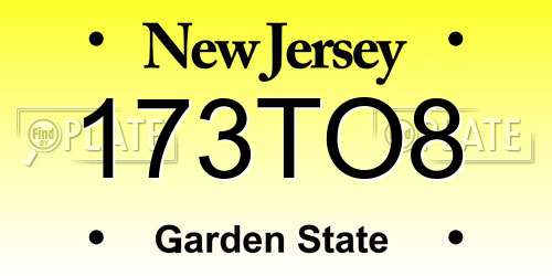 173TO8 New Jersey License Plate