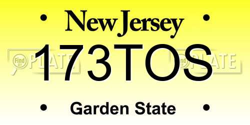 173TOS New Jersey License Plate